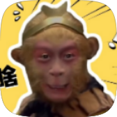 电.报猴子盒app下载2023最新版