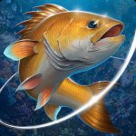 Fishing Ho.ok MOD APKv2.6.0