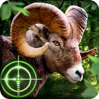 Wild Hunter 3D Mod Apkv1.0.9